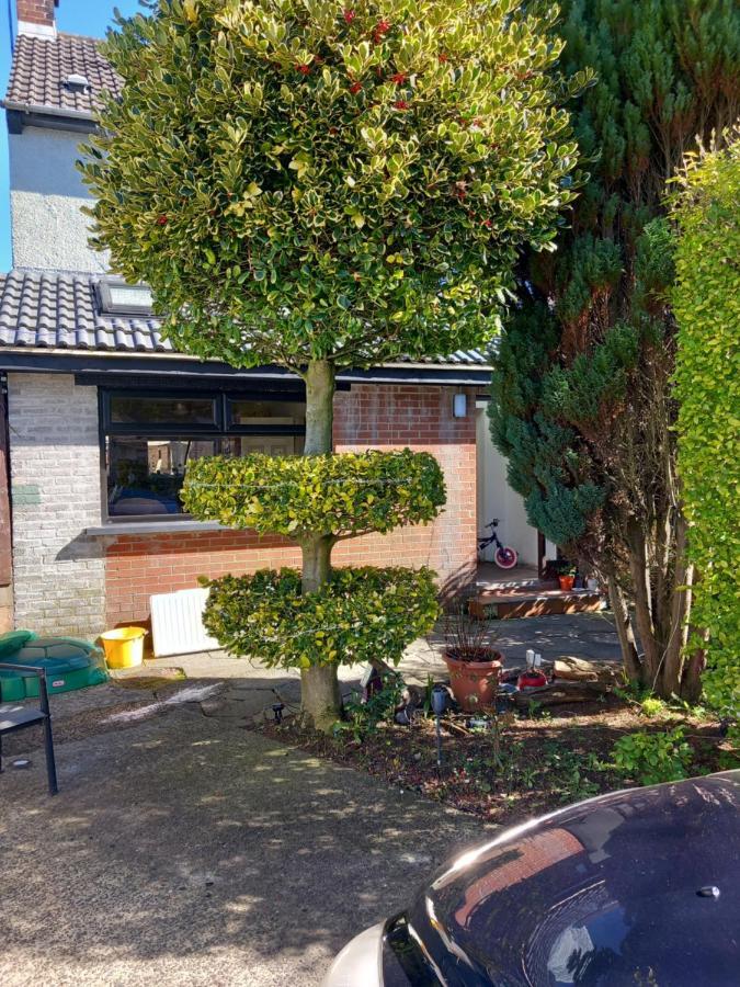 3 Bedroom Family Home Limavady Exterior foto